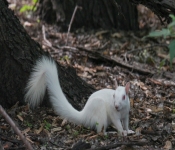 2016 06 11 WildLife MPLS 117
